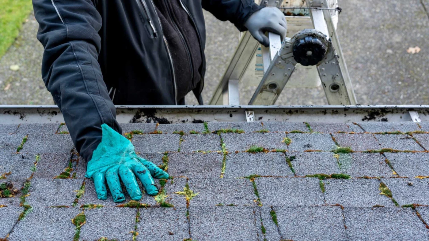 Roof Maintenance Tomball Brinkmann Quality Roofing