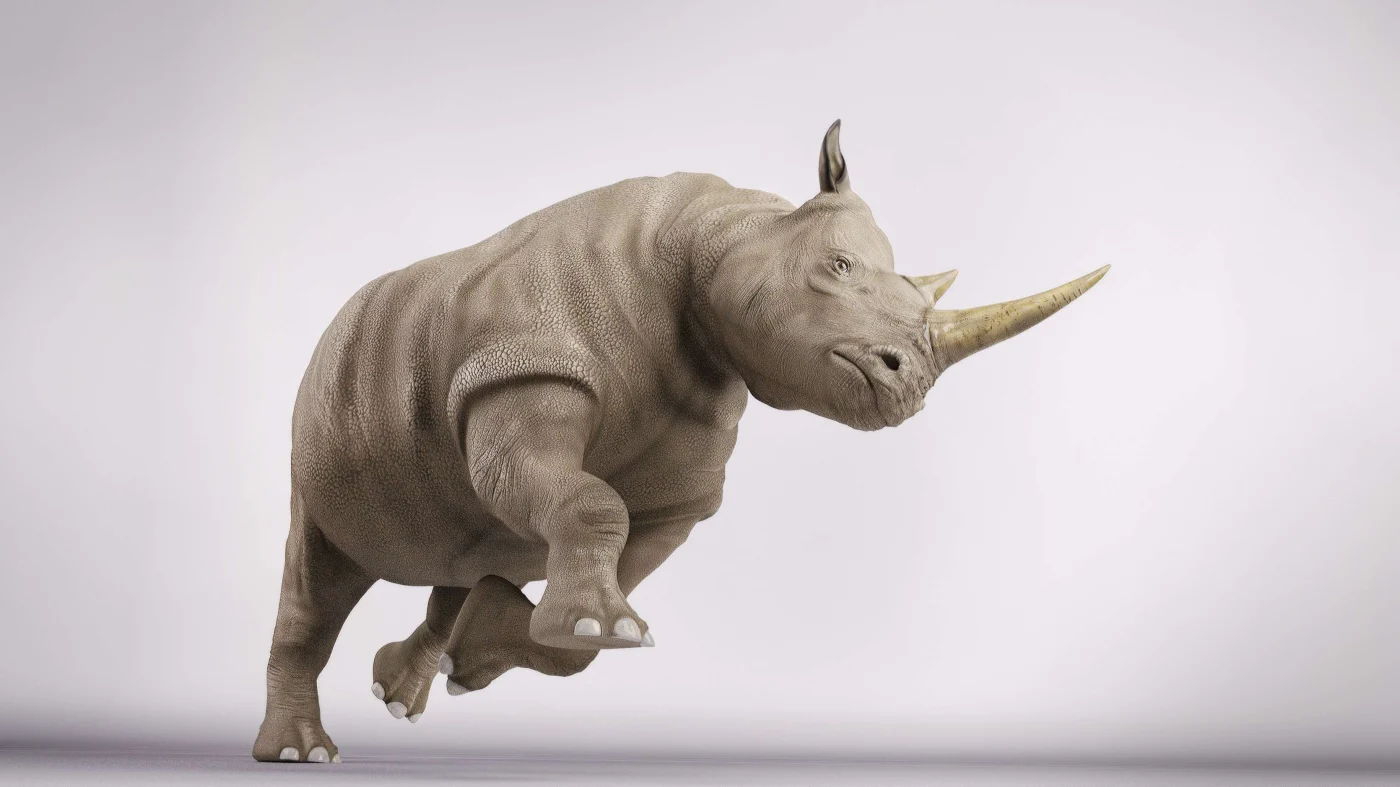 Rhino In Studio Close view of a rhinoceros on a white background charging from left to right