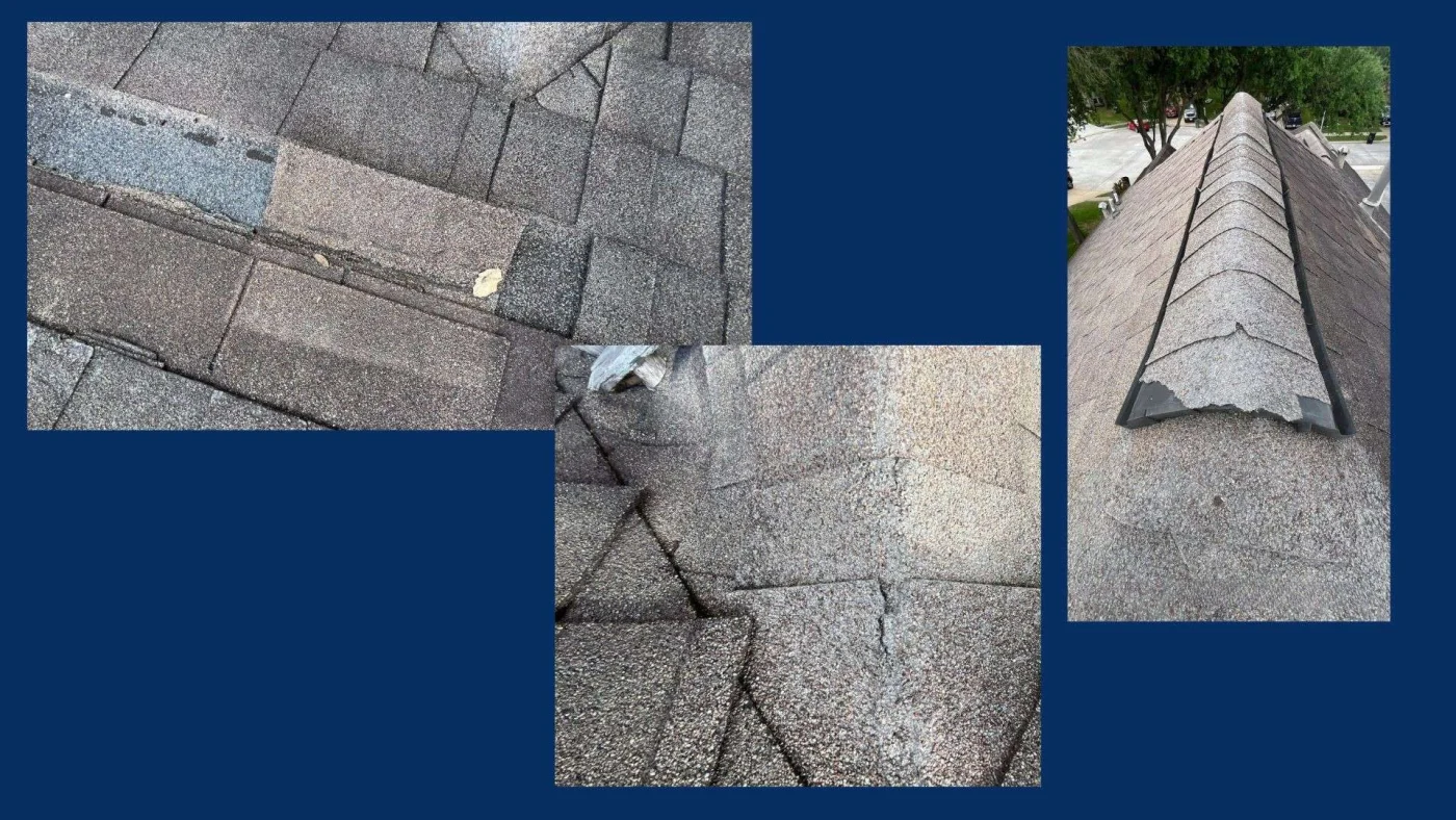 Thorough Roof Insurance Claim | Clear Lake City, TX | Brinkmann Quality Roofing A collage of damaged asphalt shingles showing exposed underlayment, cracked surfaces, worn granules, and deteriorated ridge-cap shingles.