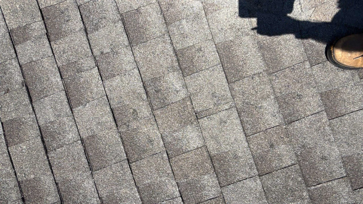 Trusted Roof Insurance Claims | Clear Lake City, TX | Brinkmann Quality Roofing Hail damage on asphalt shingles Houston roof