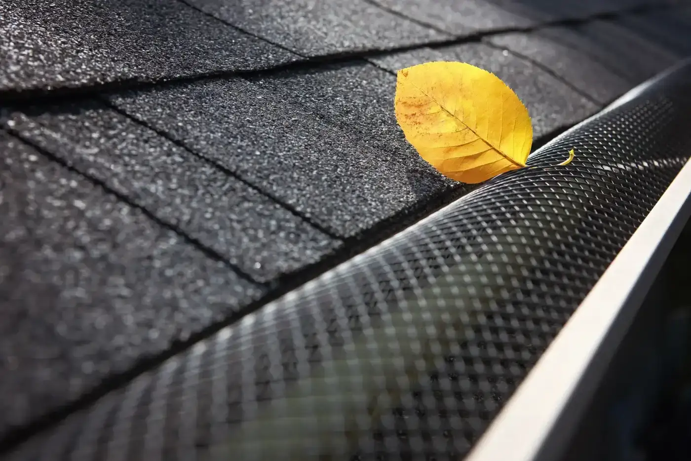 Beautiful Gutters & Downspouts | Sugar Land, TX | Brinkmann Quality Roofing Services A bright yellow leaf rests atop a mesh guard, highlighting the benefit of professional gutter and downspout services in keeping debris out.