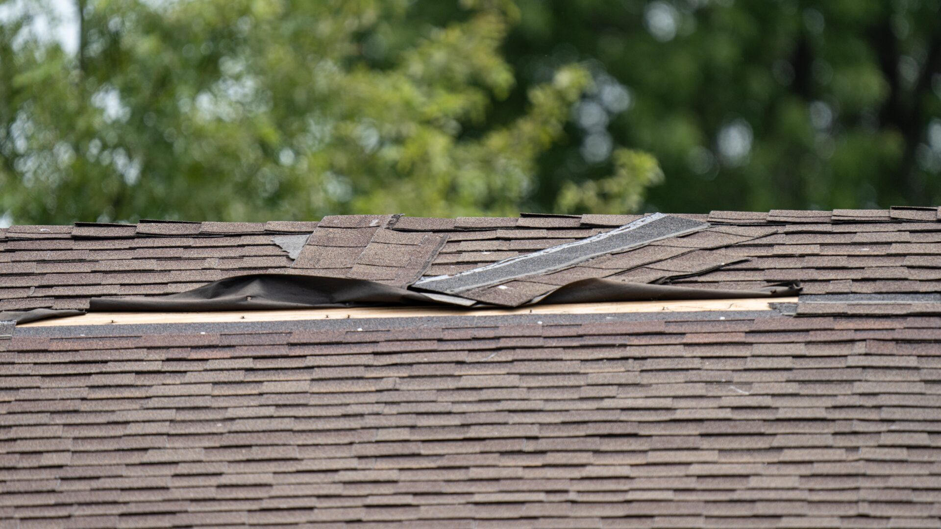 A shingle roof with damage needing repair