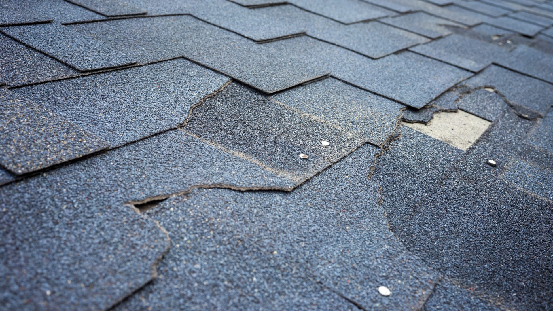 quality roof repair clear lake city brinkmann quality roofing services scaled Repair Or Replace Your Roof: How To Decide