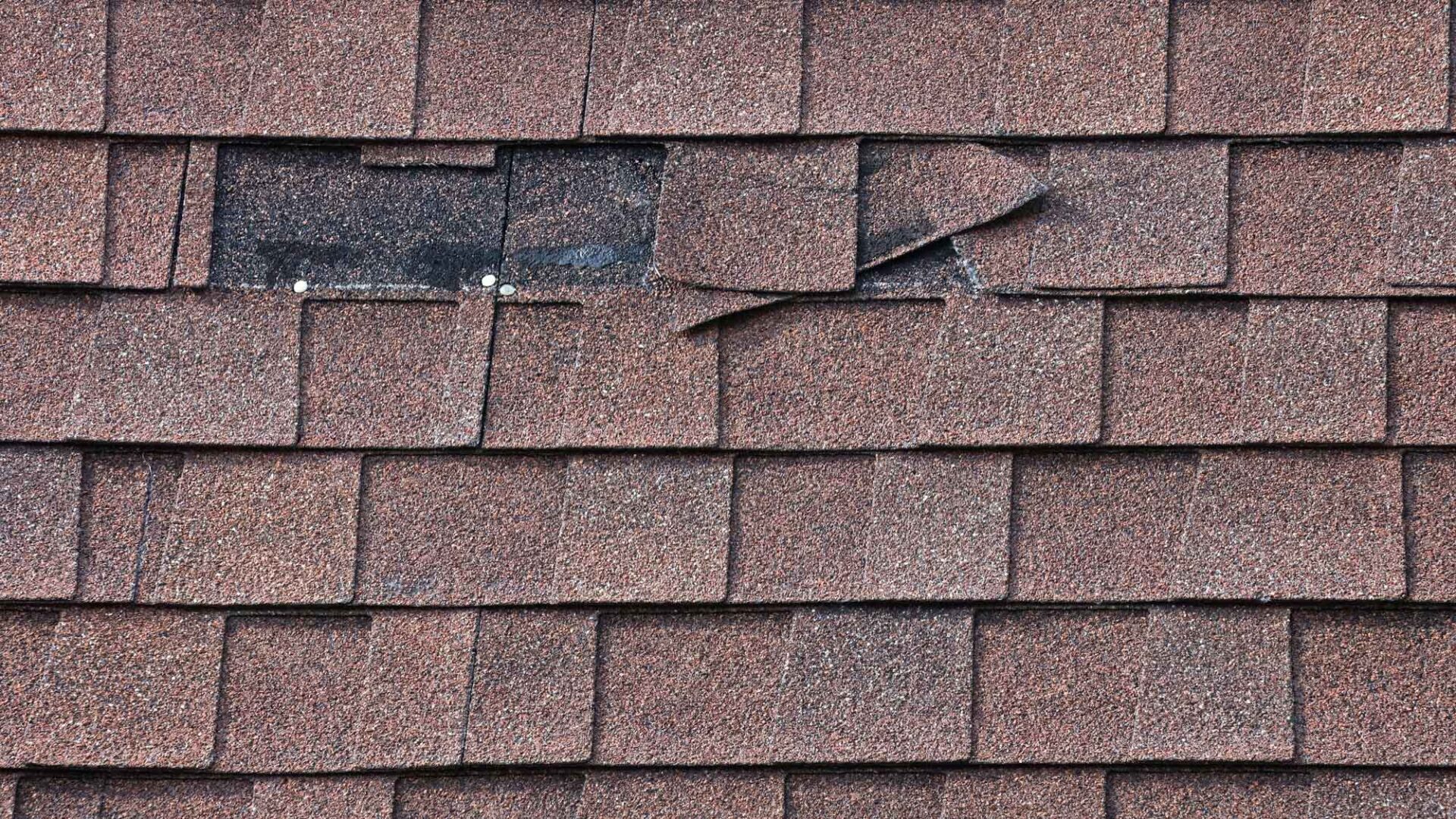 Closeup of a damaged shingle roof